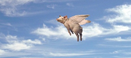 http://bankruptcystrategy.com/wp-content/uploads/2011/09/Look-flying-pigs-51794-e1315601783379.jpg